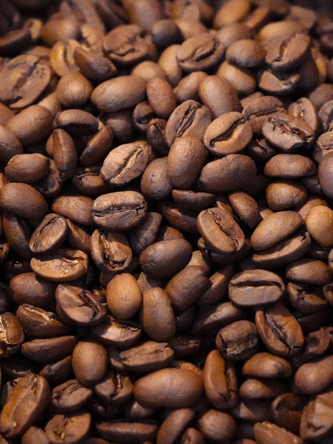 Close-up of roasted coffee beans in varying shades of brown, showing whole beans and split surfaces with visible center grooves.