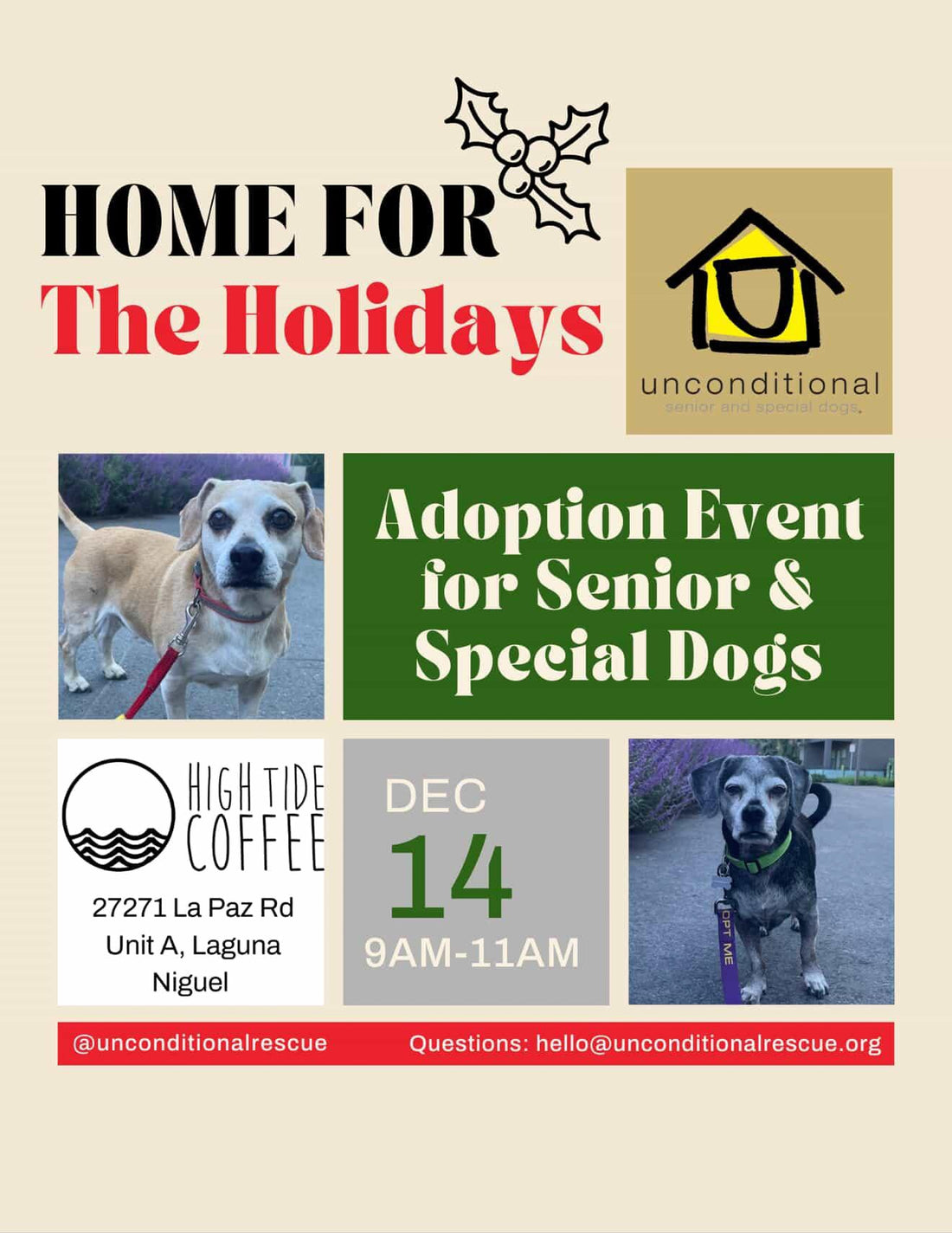 Home for the Holiday senior and special-needs dog adoption event on December 14 in Laguna Niguel.
