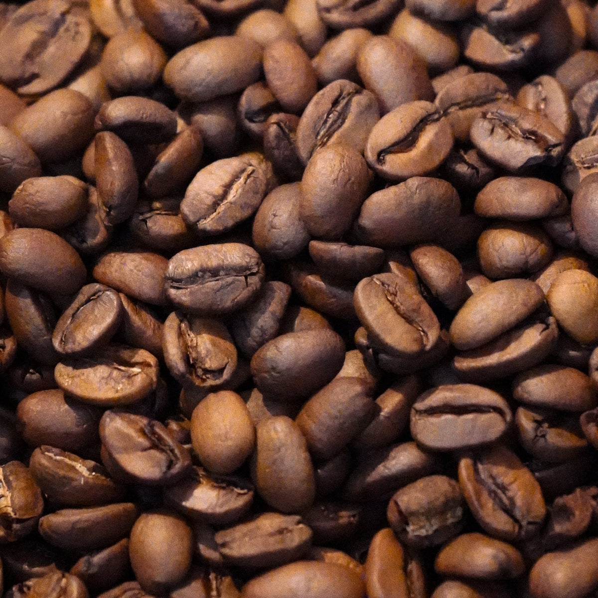 A close-up pile of roasted coffee beans with rich dark brown tones and visible crevices.