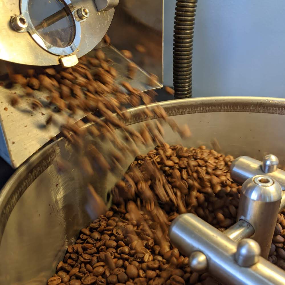 Fresh roasted coffee beans pouring out of a coffee roasting machine